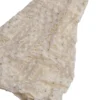 LACE TOP